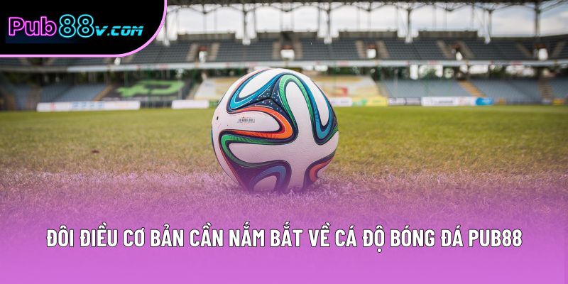 Đôi điều cơ bản cần nắm bắt về cá độ bóng đá Pub88