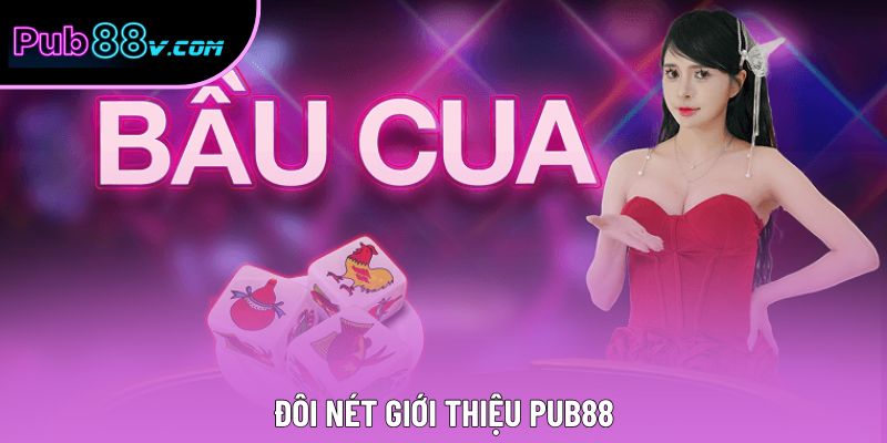 Đôi nét giới thiệu Pub88