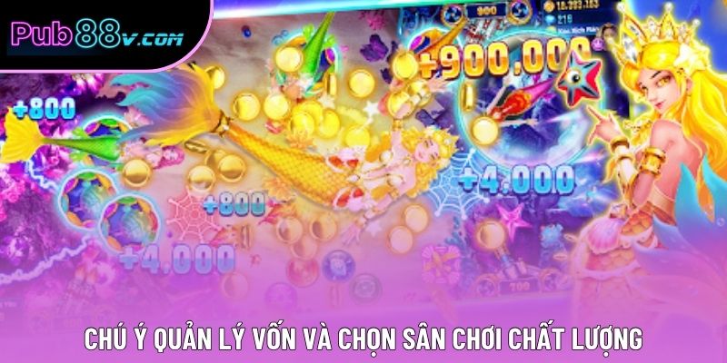 Chú ý quản lý vốn và chọn sân chơi chất lượng
