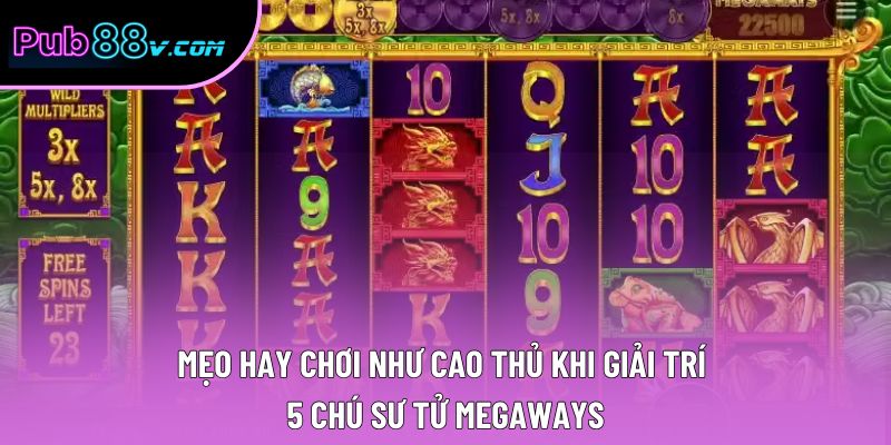 Mẹo hay chơi như cao thủ khi giải trí 5 chú sư tử Megaways