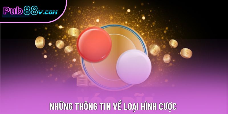 Những thông tin về loại hình cược 