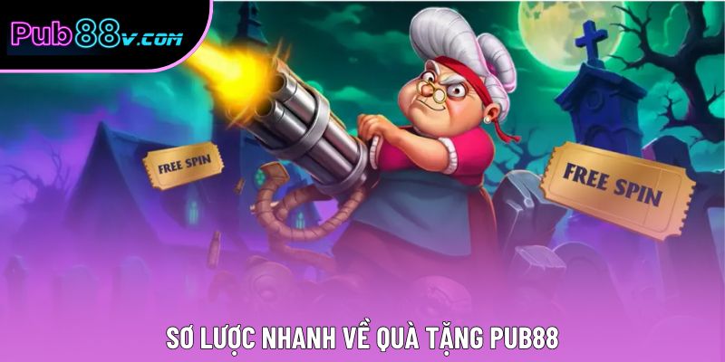 Sơ lược nhanh về quà tặng Pub88